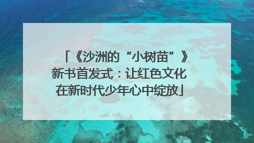 《沙洲的“小树苗”》新书首发式：让红色文化在新时代少年心中绽放