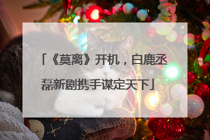 《莫离》开机，白鹿丞磊新剧携手谋定天下