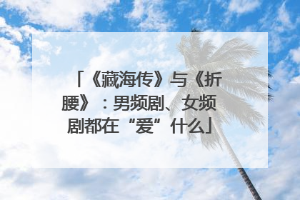 《藏海传》与《折腰》：男频剧、女频剧都在“爱”什么