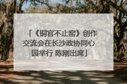 《铜官不止窑》创作交流会在长沙政协同心园举行 陈刚出席