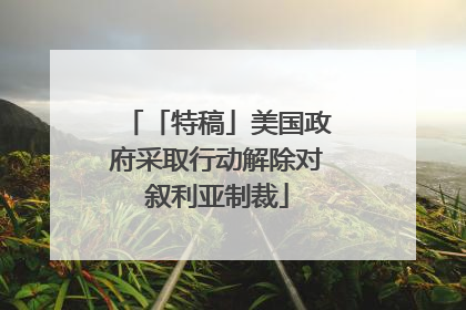 「特稿」美国政府采取行动解除对叙利亚制裁
