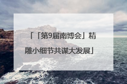 「第9届南博会」精雕小细节共谋大发展