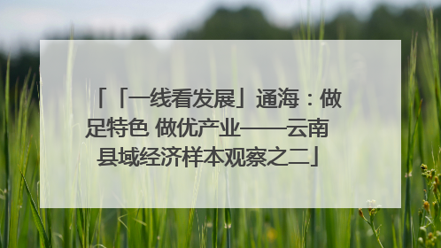 「一线看发展」通海：做足特色 做优产业——云南县域经济样本观察之二