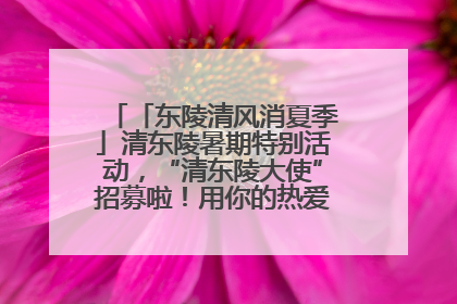 「东陵清风消夏季」清东陵暑期特别活动，“清东陵大使”招募啦！用你的热爱守护世界遗产！