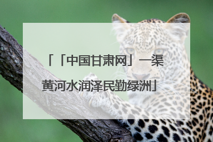 「中国甘肃网」一渠黄河水润泽民勤绿洲