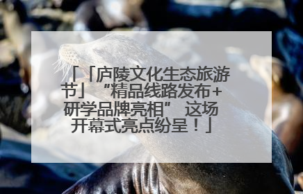 「庐陵文化生态旅游节」“精品线路发布+研学品牌亮相” 这场开幕式亮点纷呈！