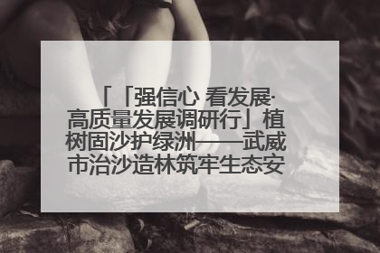 「强信心 看发展·高质量发展调研行」植树固沙护绿洲——武威市治沙造林筑牢生态安全屏障见闻