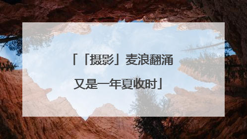 「摄影」麦浪翻涌 又是一年夏收时