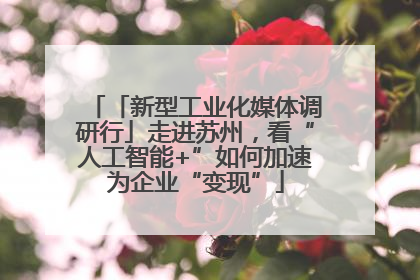 「新型工业化媒体调研行」走进苏州，看“人工智能+”如何加速为企业“变现”