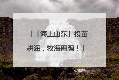 「海上山东」投苗耕海，牧海图强！