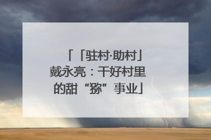 「驻村·助村」戴永亮：干好村里的甜“猕”事业