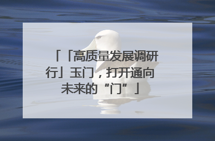 「高质量发展调研行」玉门，打开通向未来的“门”