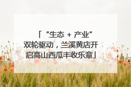 “生态 + 产业”双轮驱动，兰溪黄店开启高山西瓜丰收乐章