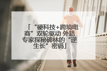 “硬科技+跨境电商”双轮驱动 外籍专家探秘碑林的“逆生长”密码