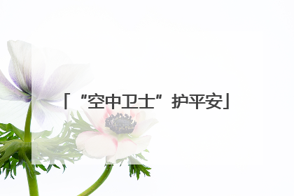 “空中卫士”护平安