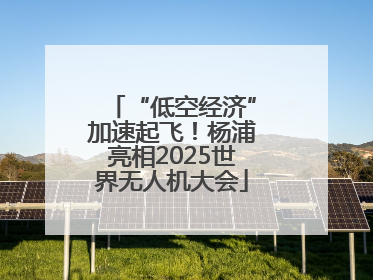 “低空经济”加速起飞！杨浦亮相2025世界无人机大会