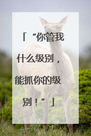 “你管我什么级别，能抓你的级别！”