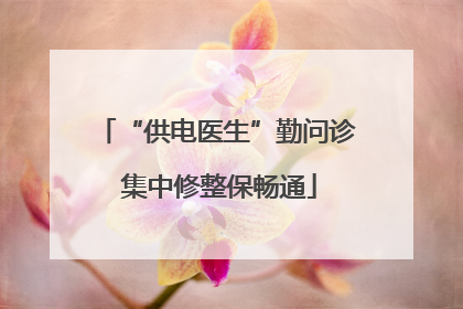 “供电医生”勤问诊 集中修整保畅通