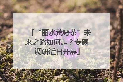 “丽水荒野茶”未来之路如何走？专题调研近日开展