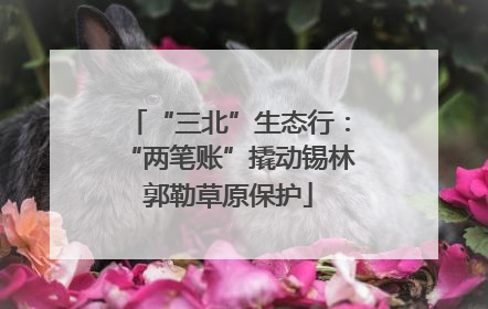 “三北”生态行：“两笔账”撬动锡林郭勒草原保护