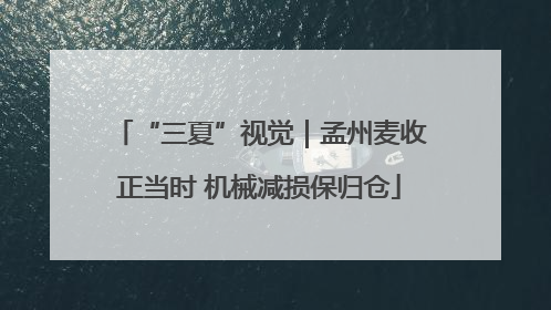 “三夏”视觉｜孟州麦收正当时 机械减损保归仓