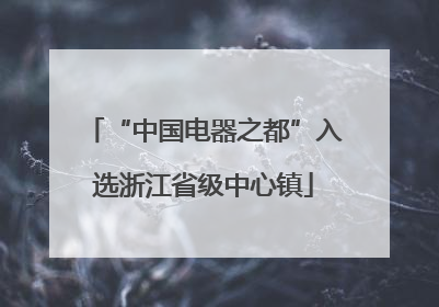 “中国电器之都”入选浙江省级中心镇