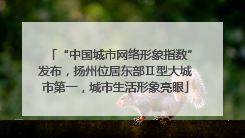 “中国城市网络形象指数”发布，扬州位居东部Ⅱ型大城市第一，城市生活形象亮眼