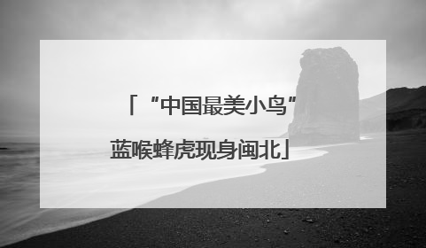“中国最美小鸟”蓝喉蜂虎现身闽北