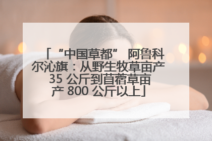 “中国草都” 阿鲁科尔沁旗：从野生牧草亩产 35 公斤到苜蓿草亩产 800 公斤以上