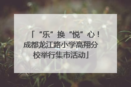 “乐”换“悦”心！成都龙江路小学高翔分校举行集市活动