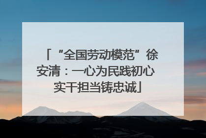 “全国劳动模范”徐安清：一心为民践初心 实干担当铸忠诚