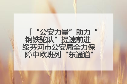 “公安力量”助力“钢铁驼队”提速前进 绥芬河市公安局全力保障中欧班列“东通道”绥芬河隧道贯通