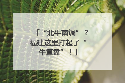 “北牛南调”？福建这里打起了“牛算盘”！