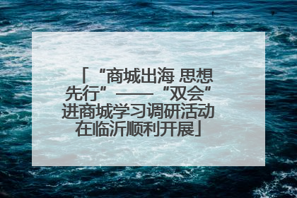 “商城出海 思想先行”——“双会”进商城学习调研活动在临沂顺利开展
