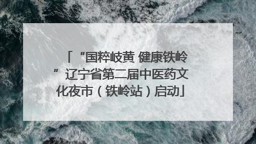 “国粹岐黄 健康铁岭”辽宁省第二届中医药文化夜市（铁岭站）启动