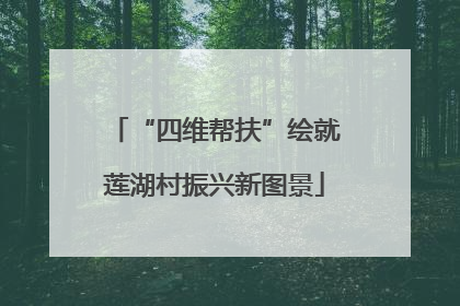 “四维帮扶”绘就莲湖村振兴新图景