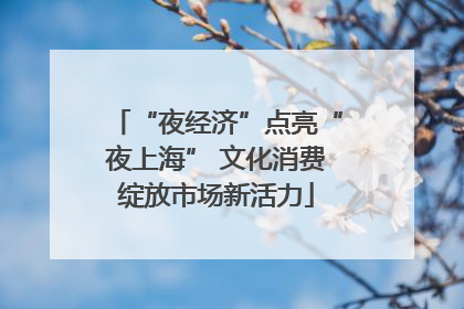 “夜经济”点亮“夜上海” 文化消费绽放市场新活力