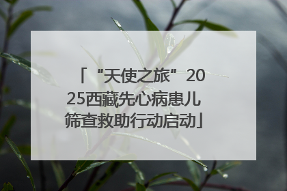 “天使之旅”2025西藏先心病患儿筛查救助行动启动