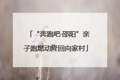 “奔跑吧·邵阳”亲子跑燃动隆回向家村