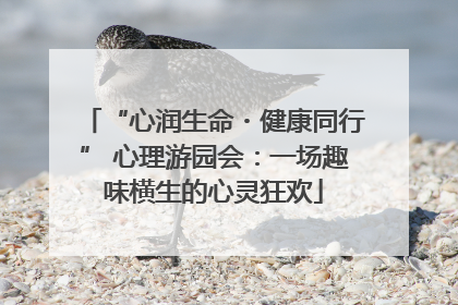 “心润生命・健康同行” 心理游园会：一场趣味横生的心灵狂欢