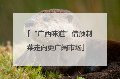“广西味道”借预制菜走向更广阔市场
