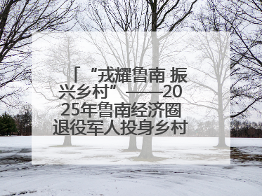 “戎耀鲁南 振兴乡村”——2025年鲁南经济圈退役军人投身乡村振兴成果展销会盛大启幕
