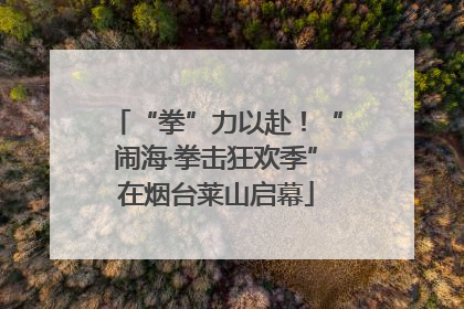 “拳”力以赴！“闹海·拳击狂欢季”在烟台莱山启幕