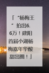 “杨梅王”拍出6.6万！建阳首届小湖杨梅嘉年华酸甜出圈！