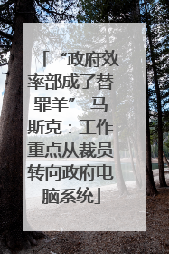 “政府效率部成了替罪羊” 马斯克：工作重点从裁员转向政府电脑系统