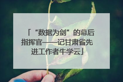 “数据为剑”的幕后指挥官——记甘肃省先进工作者牛学云