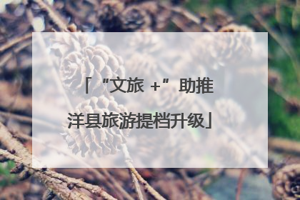 “文旅 +”助推洋县旅游提档升级