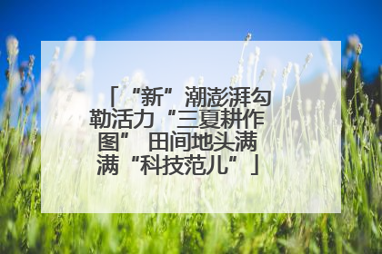 “新”潮澎湃勾勒活力“三夏耕作图” 田间地头满满“科技范儿”