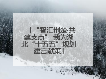 “智汇荆楚·共建支点” 我为湖北“十五五”规划建言献策