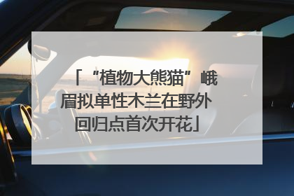 “植物大熊猫”峨眉拟单性木兰在野外回归点首次开花